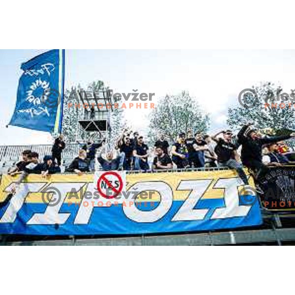 Tifozi of Koper in action during semi-final of Pivovarna Union Slovenian Cup 2024/2025 football match between Koper and Bravo Big Bang at Bonifika Stadium in Koper, Slovenia on April 23, 2025