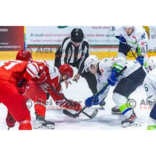 in action during World Championships 2025 preparation ice-hockey match between Slovenia and Poland in Ledna Dvorana, Maribor, Slovenia on April 24, 2025. Photo: Jure Banfi