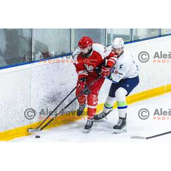 in action during World Championships 2025 preparation ice-hockey match between Slovenia and Poland in Ledna Dvorana, Maribor, Slovenia on April 24, 2025. Photo: Jure Banfi