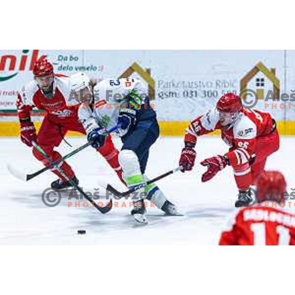 in action during World Championships 2025 preparation ice-hockey match between Slovenia and Poland in Ledna Dvorana, Maribor, Slovenia on April 24, 2025. Photo: Jure Banfi