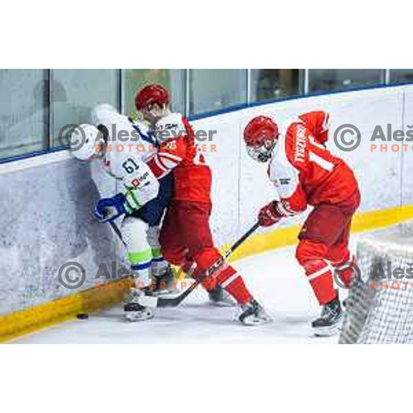 in action during World Championships 2025 preparation ice-hockey match between Slovenia and Poland in Ledna Dvorana, Maribor, Slovenia on April 24, 2025. Photo: Jure Banfi