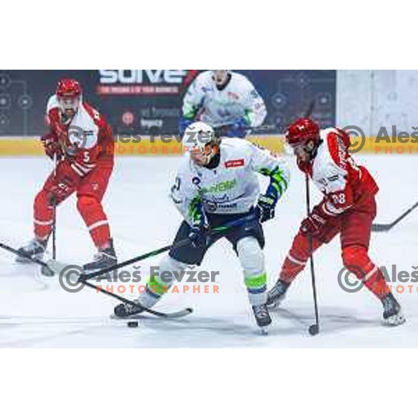 in action during World Championships 2025 preparation ice-hockey match between Slovenia and Poland in Ledna Dvorana, Maribor, Slovenia on April 24, 2025. Photo: Jure Banfi