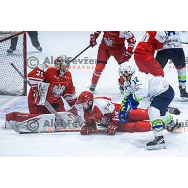 in action during World Championships 2025 preparation ice-hockey match between Slovenia and Poland in Ledna Dvorana, Maribor, Slovenia on April 24, 2025. Photo: Jure Banfi