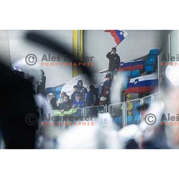 in action during World Championships 2025 preparation ice-hockey match between Slovenia and Poland in Ledna Dvorana, Maribor, Slovenia on April 24, 2025. Photo: Jure Banfi