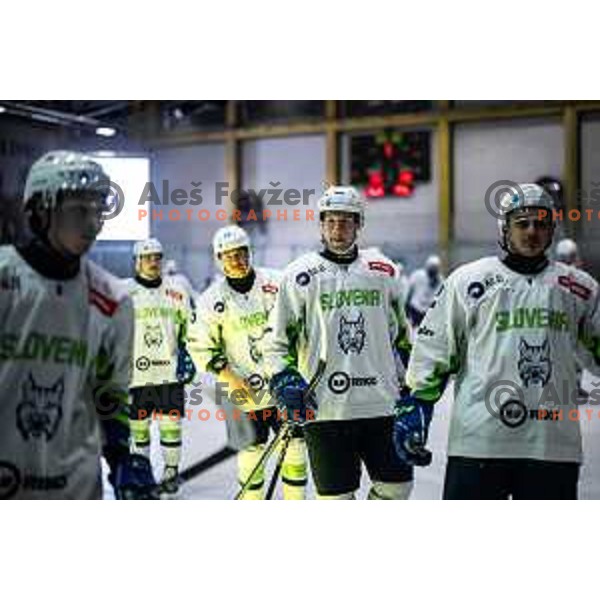 in action during World Championships 2025 preparation ice-hockey match between Slovenia and Poland in Ledna Dvorana, Maribor, Slovenia on April 24, 2025. Photo: Jure Banfi