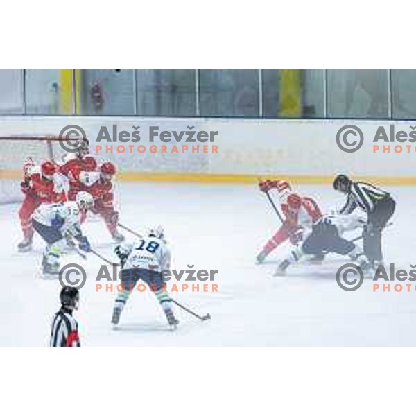 in action during World Championships 2025 preparation ice-hockey match between Slovenia and Poland in Ledna Dvorana, Maribor, Slovenia on April 24, 2025. Photo: Jure Banfi