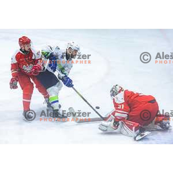 in action during World Championships 2025 preparation ice-hockey match between Slovenia and Poland in Ledna Dvorana, Maribor, Slovenia on April 24, 2025. Photo: Jure Banfi