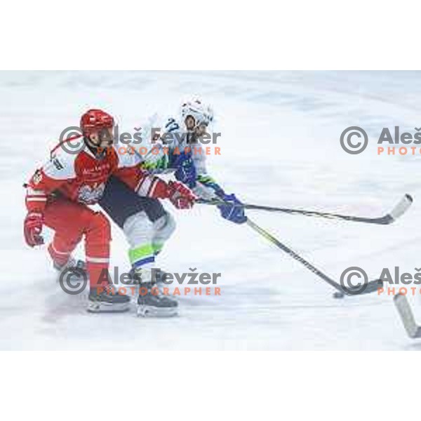 in action during World Championships 2025 preparation ice-hockey match between Slovenia and Poland in Ledna Dvorana, Maribor, Slovenia on April 24, 2025. Photo: Jure Banfi