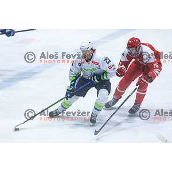 in action during World Championships 2025 preparation ice-hockey match between Slovenia and Poland in Ledna Dvorana, Maribor, Slovenia on April 24, 2025. Photo: Jure Banfi