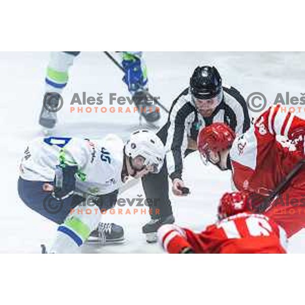in action during World Championships 2025 preparation ice-hockey match between Slovenia and Poland in Ledna Dvorana, Maribor, Slovenia on April 24, 2025. Photo: Jure Banfi