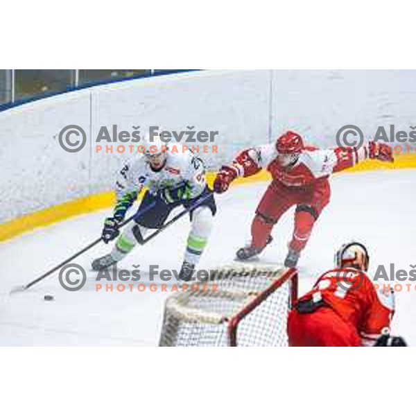 in action during World Championships 2025 preparation ice-hockey match between Slovenia and Poland in Ledna Dvorana, Maribor, Slovenia on April 24, 2025. Photo: Jure Banfi