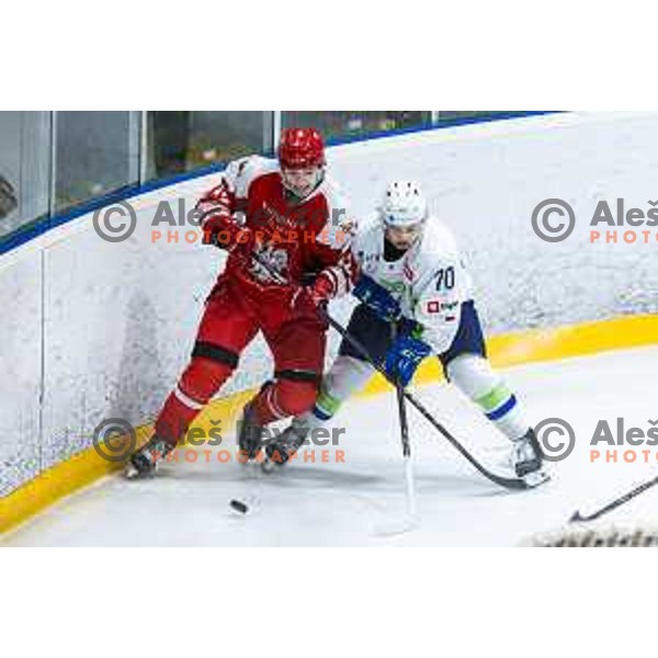 in action during World Championships 2025 preparation ice-hockey match between Slovenia and Poland in Ledna Dvorana, Maribor, Slovenia on April 24, 2025. Photo: Jure Banfi
