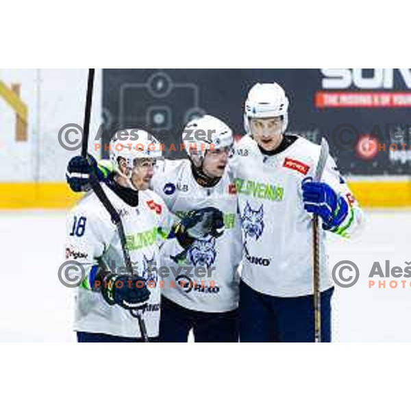 in action during World Championships 2025 preparation ice-hockey match between Slovenia and Poland in Ledna Dvorana, Maribor, Slovenia on April 24, 2025. Photo: Jure Banfi