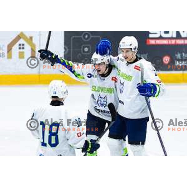 in action during World Championships 2025 preparation ice-hockey match between Slovenia and Poland in Ledna Dvorana, Maribor, Slovenia on April 24, 2025. Photo: Jure Banfi