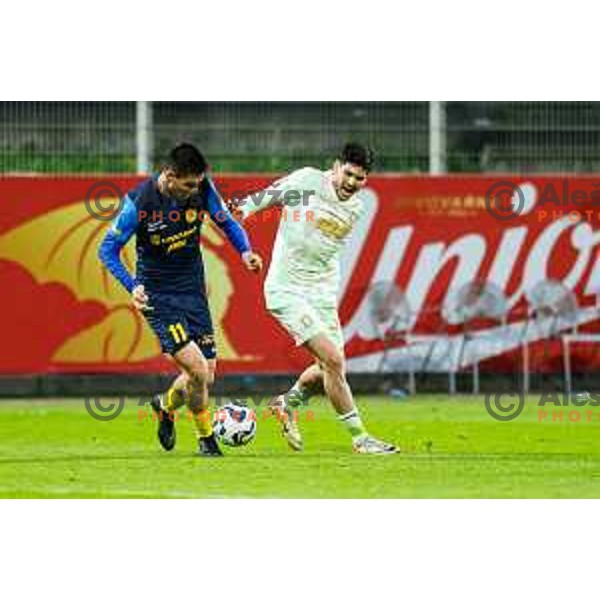 in action during semi-final of Pivovarna Union Slovenian Cup 2024/2025 football match between Celje and Olimpija in Celje, Slovenia on April 24, 2025