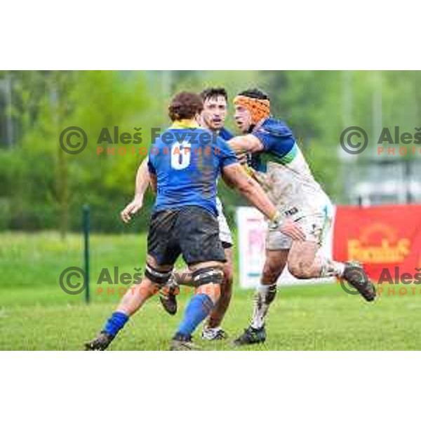 Max Skofic in action during European Conference League rugby match between Slovenia and Bosnia and Herzegovina at Oval Stanezice, Ljubljana, Slovenia on April 26, 2025