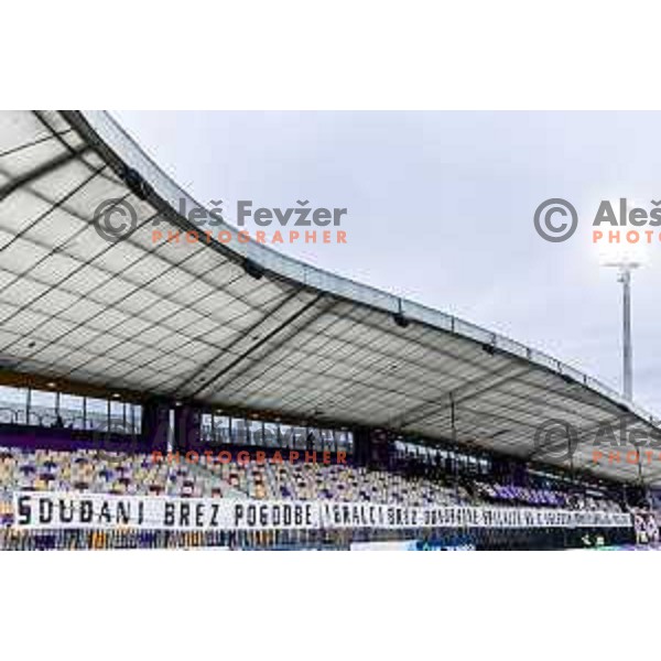 Viole taunt during Prva liga Telemach 2024/25 football match between Maribor and Kalcer Radomlje in Ljudski vrt, Maribor, Slovenia on April 26, 2025. Photo: Jure Banfi
