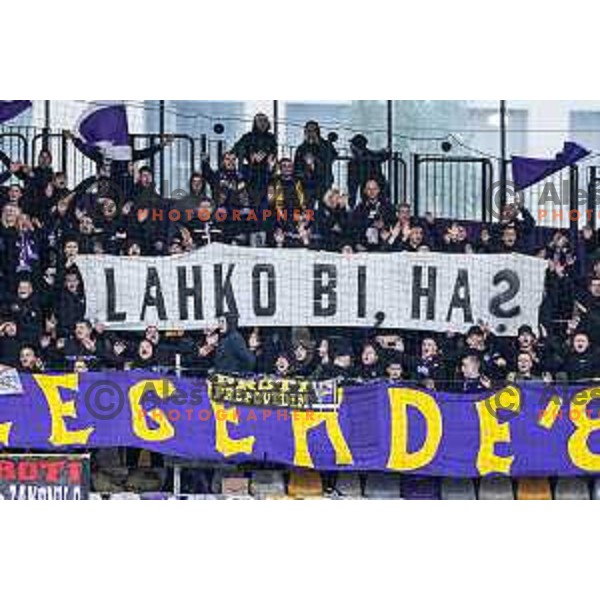 Maribor supporters Viole during Prva liga Telemach 2024/25 football match between Maribor and Kalcer Radomlje in Ljudski vrt, Maribor, Slovenia on April 26, 2025. Photo: Jure Banfi