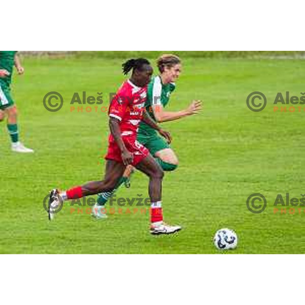 in action during 2.SNL football match between Ilirija and Aluminij in Ljubljana, Slovenia on April 26, 2025