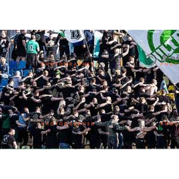 Olimpija supporters Green Dragons during Prva liga Telemach football match between Olimpija Ljubljana and Celje in Stadion z’dezele, Celje, Slovenia on April 27, 2025. Photo: Jure Banfi