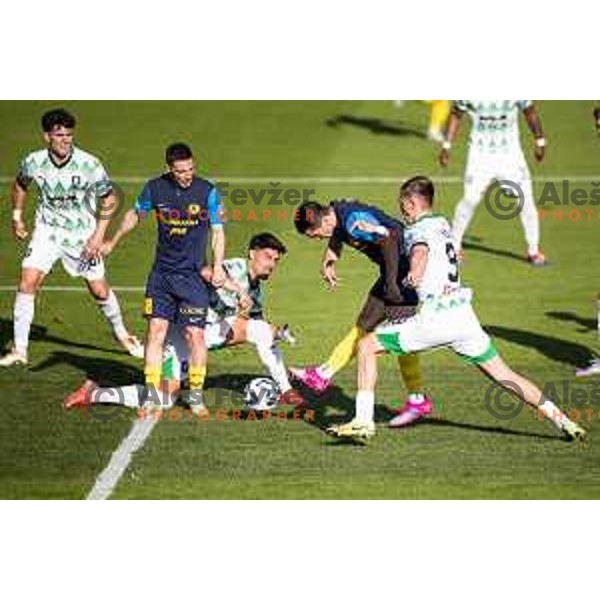 in action during Prva liga Telemach football match between Olimpija Ljubljana and Celje in Stadion z’dezele, Celje, Slovenia on April 27, 2025. Photo: Jure Banfi
