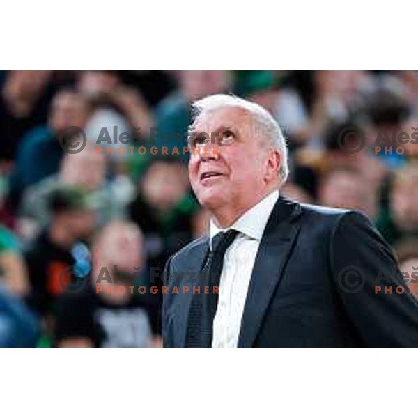 Zeljko Obradovic, head coach of Partizan during regular season basketball match of AdmiralBet ABA League 2024/2025 between Cedevita Olimpija Ljubljana (SLO) and Partizan Mozzart Bet (SRB) in SRC Stozice, Ljubljana, Slovenia on April 27, 2025