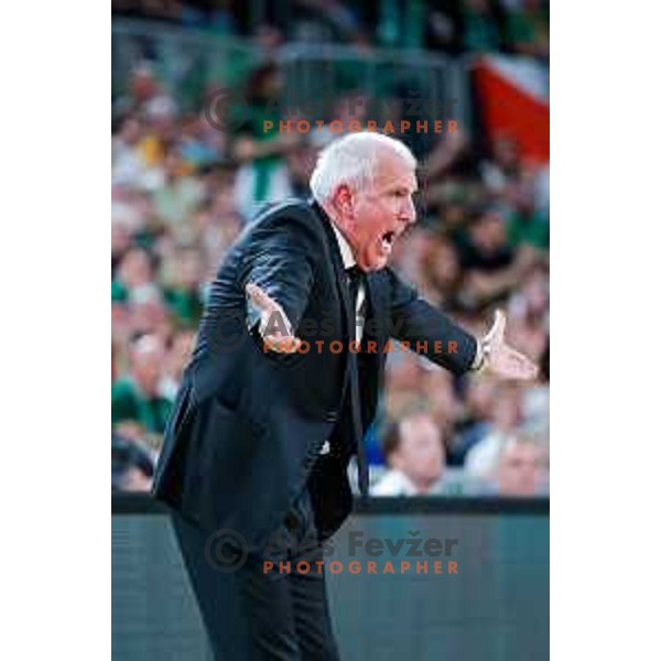 Zeljko Obradovic, head coach of Partizan during regular season basketball match of AdmiralBet ABA League 2024/2025 between Cedevita Olimpija Ljubljana (SLO) and Partizan Mozzart Bet (SRB) in SRC Stozice, Ljubljana, Slovenia on April 27, 2025