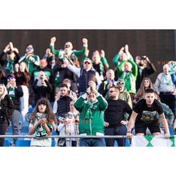 in action during Prva liga Telemach football match between Olimpija Ljubljana and Celje in Stadion z’dezele, Celje, Slovenia on April 27, 2025. Photo: Jure Banfi