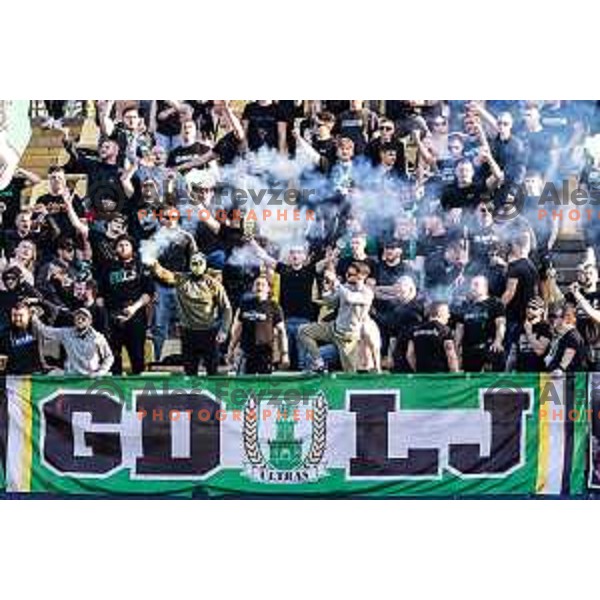 Olimpija supporters Green Dragons during Prva liga Telemach football match between Olimpija Ljubljana and Celje in Stadion z’dezele, Celje, Slovenia on April 27, 2025. Photo: Jure Banfi
