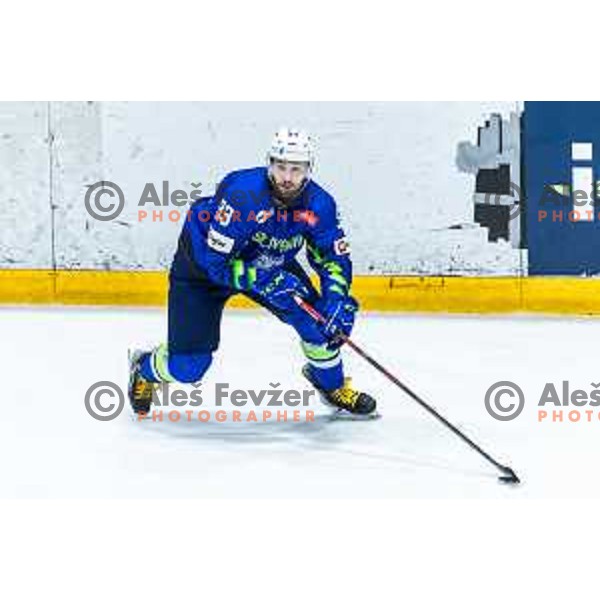 in action during World Championships 2025 preparation ice-hockey match between Slovenia and Denmark in Ledna Dvorana, Maribor, Slovenia on April 30, 2025. Photo: Jure Banfi
