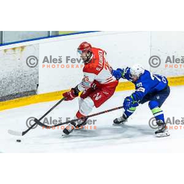 in action during World Championships 2025 preparation ice-hockey match between Slovenia and Denmark in Ledna Dvorana, Maribor, Slovenia on April 30, 2025. Photo: Jure Banfi