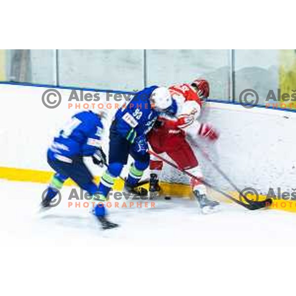 in action during World Championships 2025 preparation ice-hockey match between Slovenia and Denmark in Ledna Dvorana, Maribor, Slovenia on April 30, 2025. Photo: Jure Banfi