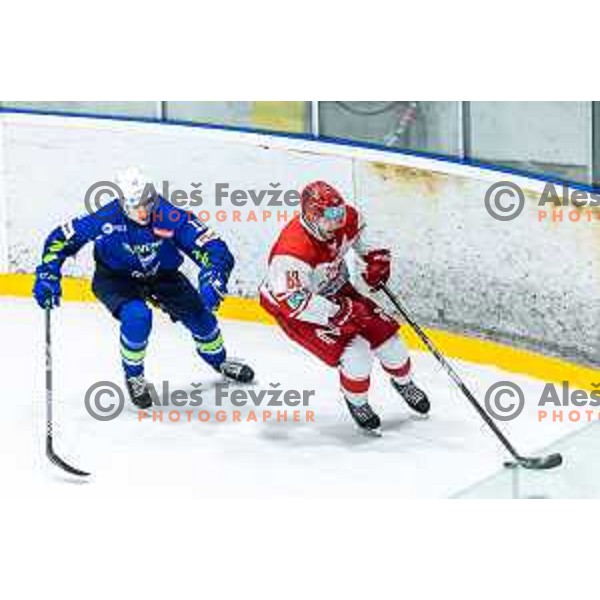 in action during World Championships 2025 preparation ice-hockey match between Slovenia and Denmark in Ledna Dvorana, Maribor, Slovenia on April 30, 2025. Photo: Jure Banfi