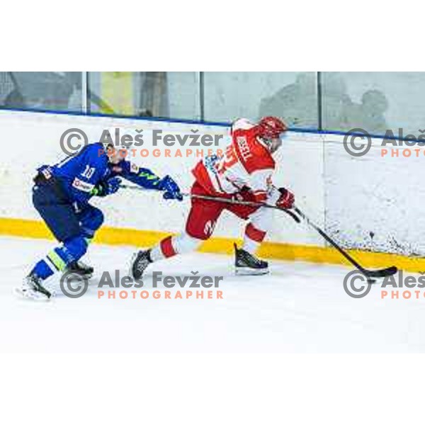 in action during World Championships 2025 preparation ice-hockey match between Slovenia and Denmark in Ledna Dvorana, Maribor, Slovenia on April 30, 2025. Photo: Jure Banfi
