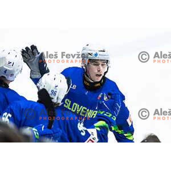in action during World Championships 2025 preparation ice-hockey match between Slovenia and Denmark in Ledna Dvorana, Maribor, Slovenia on April 30, 2025. Photo: Jure Banfi