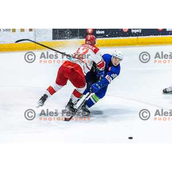 in action during World Championships 2025 preparation ice-hockey match between Slovenia and Denmark in Ledna Dvorana, Maribor, Slovenia on April 30, 2025. Photo: Jure Banfi