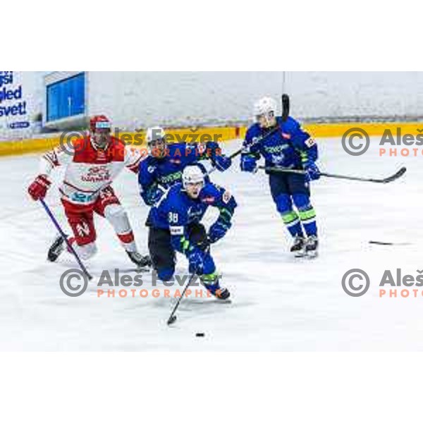 in action during World Championships 2025 preparation ice-hockey match between Slovenia and Denmark in Ledna Dvorana, Maribor, Slovenia on April 30, 2025. Photo: Jure Banfi