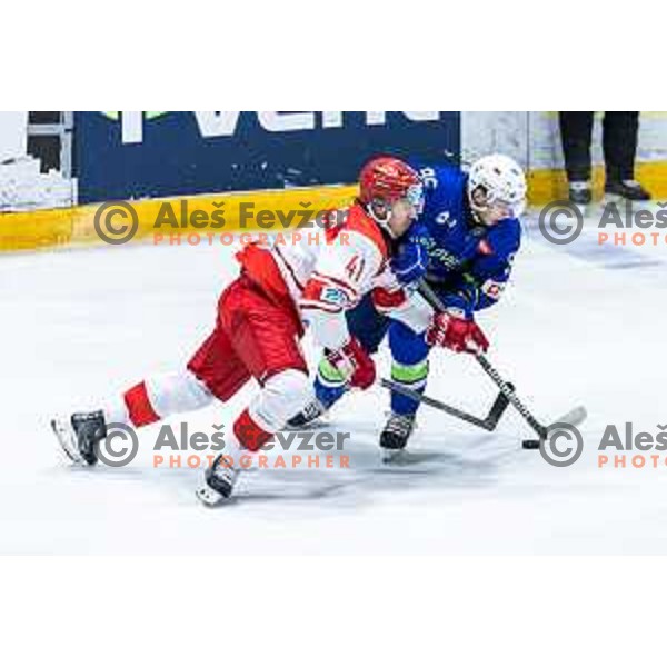 in action during World Championships 2025 preparation ice-hockey match between Slovenia and Denmark in Ledna Dvorana, Maribor, Slovenia on April 30, 2025. Photo: Jure Banfi