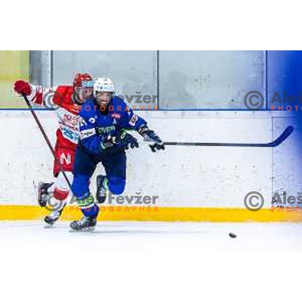 in action during World Championships 2025 preparation ice-hockey match between Slovenia and Denmark in Ledna Dvorana, Maribor, Slovenia on April 30, 2025. Photo: Jure Banfi