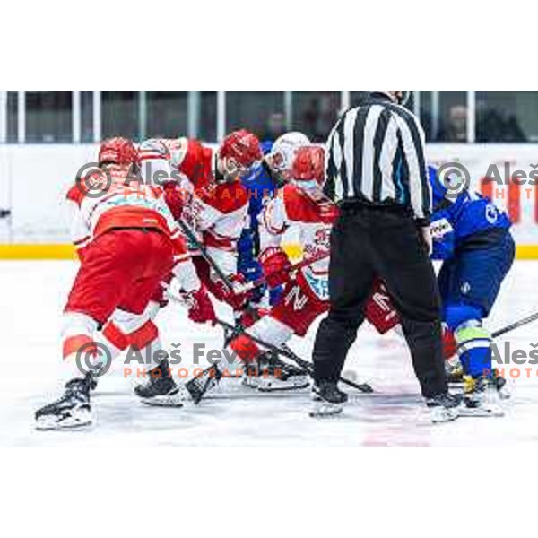 in action during World Championships 2025 preparation ice-hockey match between Slovenia and Denmark in Ledna Dvorana, Maribor, Slovenia on April 30, 2025. Photo: Jure Banfi