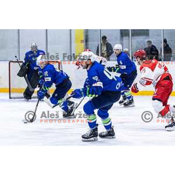 in action during World Championships 2025 preparation ice-hockey match between Slovenia and Denmark in Ledna Dvorana, Maribor, Slovenia on April 30, 2025. Photo: Jure Banfi