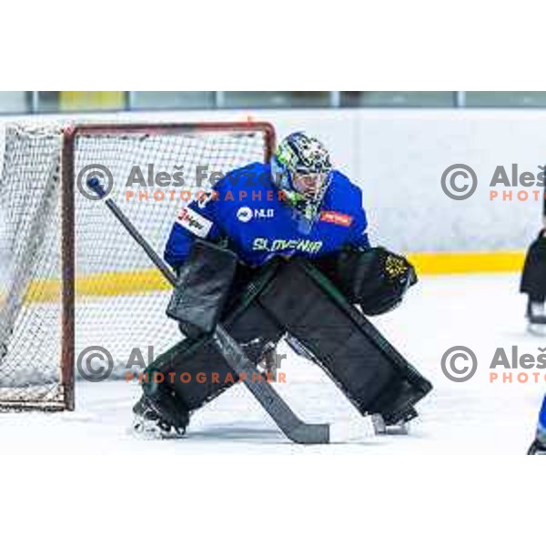 Lukas Horak in action during World Championship 2025 preparation ice-hockey match between Slovenia and Denmark in Ledna Dvorana, Maribor, Slovenia on April 30, 2025. Photo: Jure Banfi