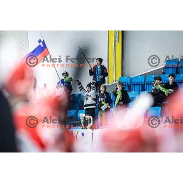 in action during World Championship 2025 preparation ice-hockey match between Slovenia and Denmark in Ledna Dvorana, Maribor, Slovenia on April 30, 2025. Photo: Jure Banfi