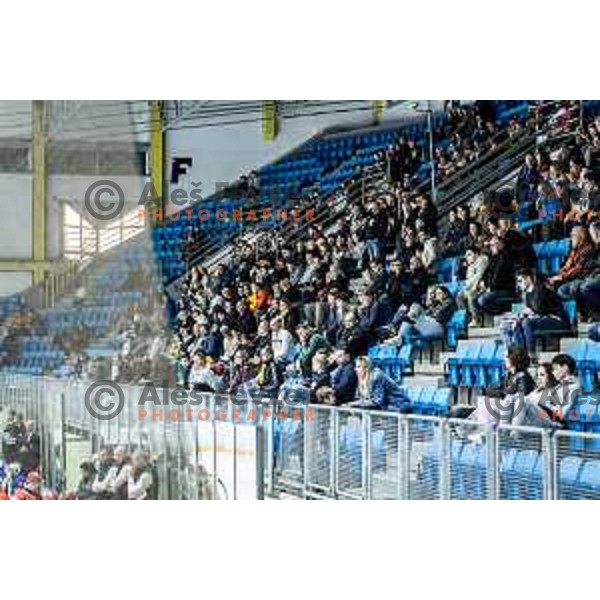 in action during World Championship 2025 preparation ice-hockey match between Slovenia and Denmark in Ledna Dvorana, Maribor, Slovenia on April 30, 2025. Photo: Jure Banfi