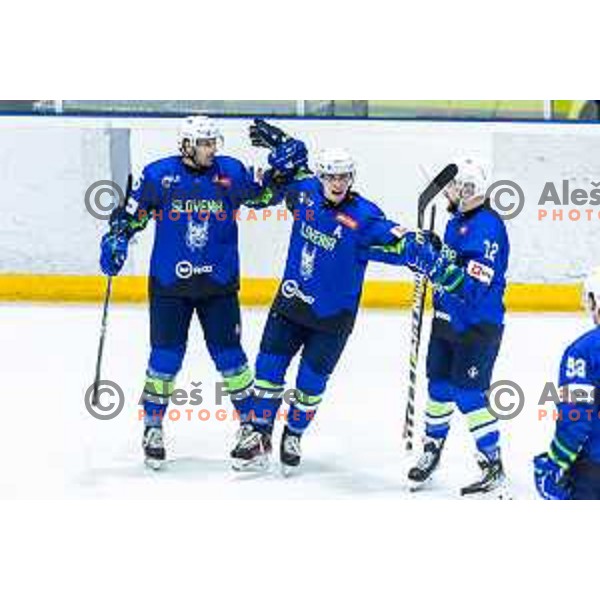 in action during World Championship 2025 preparation ice-hockey match between Slovenia and Denmark in Ledna Dvorana, Maribor, Slovenia on April 30, 2025. Photo: Jure Banfi