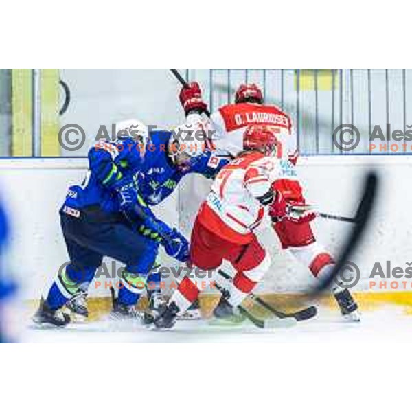 in action during World Championship 2025 preparation ice-hockey match between Slovenia and Denmark in Ledna Dvorana, Maribor, Slovenia on April 30, 2025. Photo: Jure Banfi