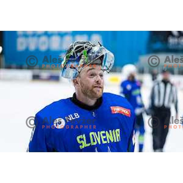 in action during World Championship 2025 preparation ice-hockey match between Slovenia and Denmark in Ledna Dvorana, Maribor, Slovenia on April 30, 2025. Photo: Jure Banfi