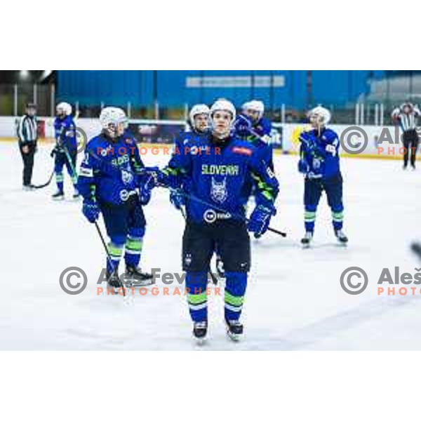 in action during World Championship 2025 preparation ice-hockey match between Slovenia and Denmark in Ledna Dvorana, Maribor, Slovenia on April 30, 2025. Photo: Jure Banfi