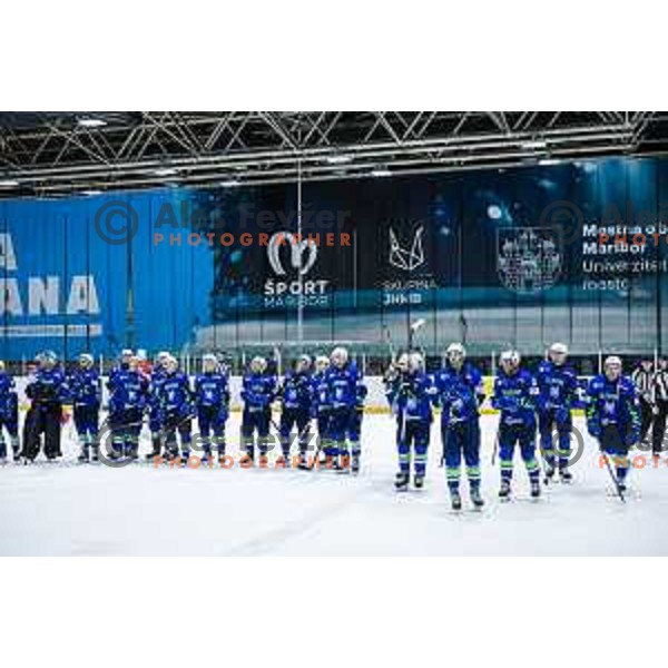 in action during World Championship 2025 preparation ice-hockey match between Slovenia and Denmark in Ledna Dvorana, Maribor, Slovenia on April 30, 2025. Photo: Jure Banfi