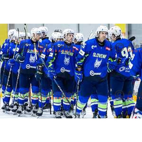 in action during World Championship 2025 preparation ice-hockey match between Slovenia and Denmark in Ledna Dvorana, Maribor, Slovenia on April 30, 2025. Photo: Jure Banfi